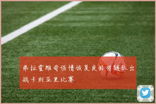 弗拉霍维奇伤情恢复良好将随队出战卡利亚里比赛