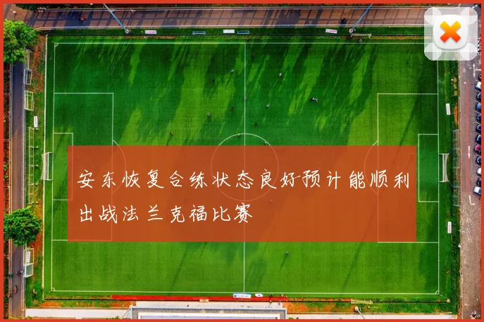 安东恢复合练状态良好预计能顺利出战法兰克福比赛