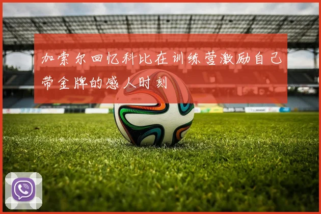 加索尔回忆科比在训练营激励自己带金牌的感人时刻