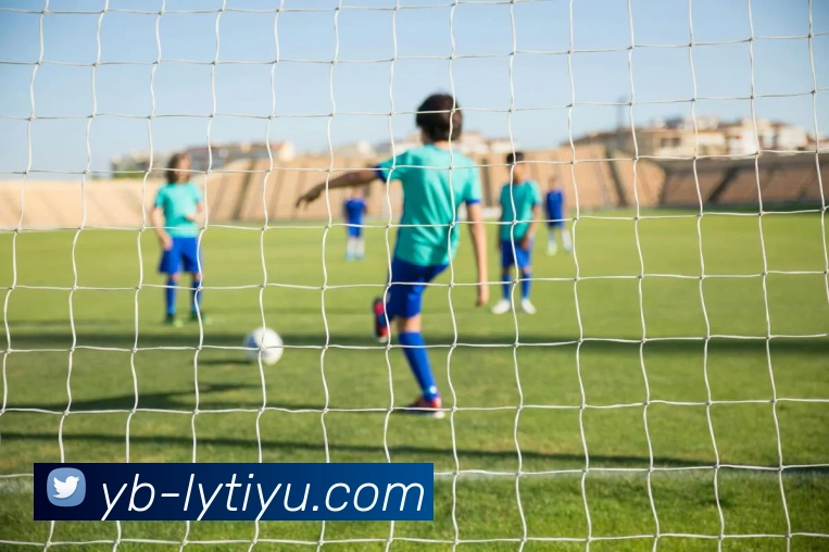 乐鱼体育APP 体育赛事宣传图